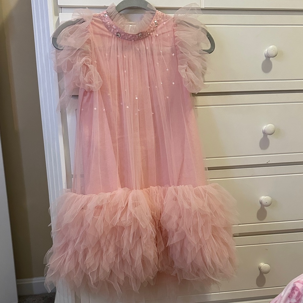 Tutu Du Monde Blush Tulle Dress with Beaded Detail